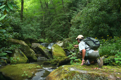 Fly Fishing small bushy stream